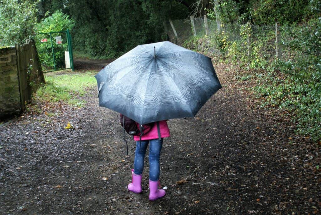 Mädchen mit Regenschirm auf dem Weg in den Wald
