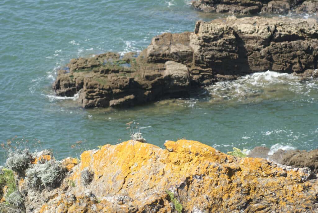 Felsen im Meer